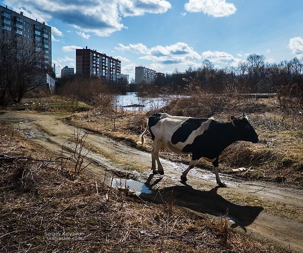 15. Лето в городе