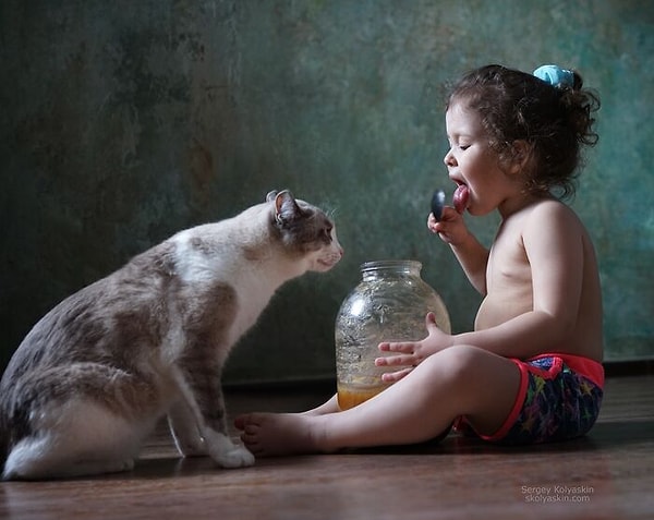 20. Сладкоежка