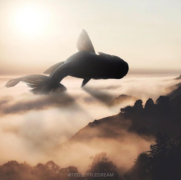 19. Большая рыба