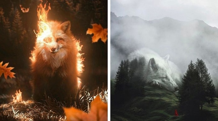 20 необычных цифровых манипуляций от художника, который создал заставку для Photoshop 2021