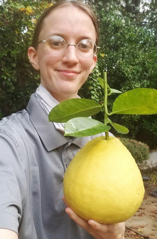17. С помощью лимона Ponderos можно удовлетворить потребность организма в лимоне за целый год 😱