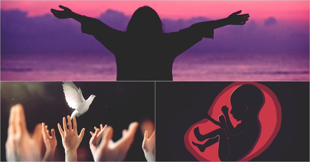 Meltem Farah Konyalı Yazio: Bilin İstedim