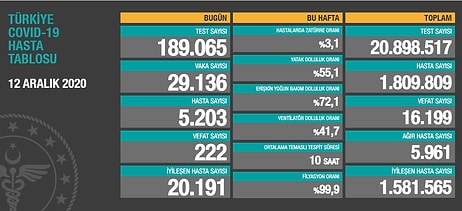 Koronavirüste Son Durum: 222 Kişi Hayatını Kaybetti, 29 Bin 136 Yeni Vaka