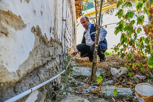 Pakdemirli ‘Kuraklık Eylem Planı’nı Açıkladı: 'Yeraltı Barajlarına Önem Vereceğiz'