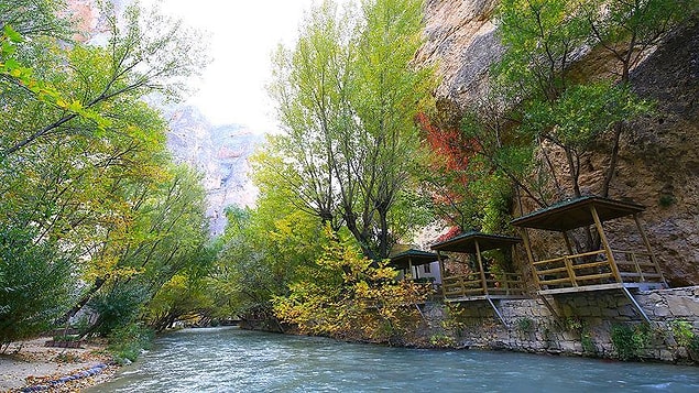 2084 - Doğa yenilenecek.