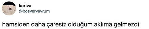 "Hamsi Türkiye'den Kaçıyor" Haberine Yaptıkları İğneleyici Yorumlarla Mevzuyu İnce Gören Mizahşörler