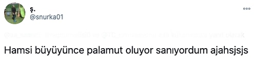 Çocuk Aklıyla Doğru Olduğuna İnandıkları Birbirinden Enterasan Yanılgıları Paylaşırken Güldüren 22 Kişi