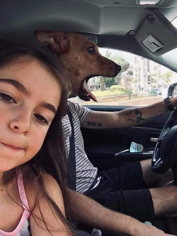 8. Детям за руль нельзя, а вот хвостатым, кажется, можно