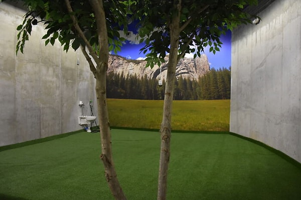 29. Любители собак будут рады узнать, что для их лучших друзей есть парк.