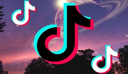 Şarkılar, Ünlüler, Fenomenler! Milyonlarca Kullanıcısı Bulunan TikTok Türkiye'nin 2020 En'leri Belirlendi