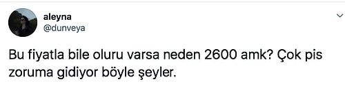 Ikea'dan Düşeş Koltuk Almanın Sevincini Paylaşan Kişinin Hevesini Kursağına Tıkayan Baltalı İlahlar