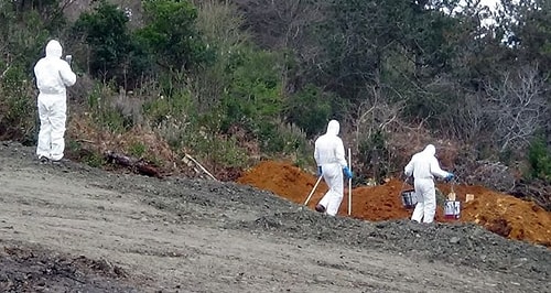 İBB Mezarlıklar Daire Başkanı Koç: 'Yeni Mezarlıklar İçin Bakanlıklardan Arazi Talep Ettik'