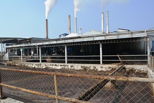 Ayvalık’ta Çevre Katliamı: Fabrikanın Atık Havuzunun Duvarı Yıkıldı, Tonlarca Atık Sarımsaklı Plajı'ndan Deniz Aktı