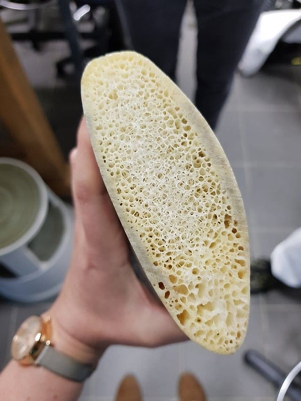 15. Ребро кита в разрезе