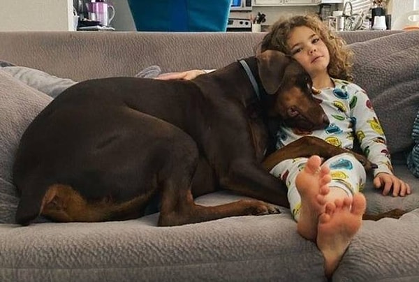 7. "Мы навечно благодарны тем 2-м (!) семьям, которые подумали, что заботиться об этом добермане - это слишком большой груз на их плечах".