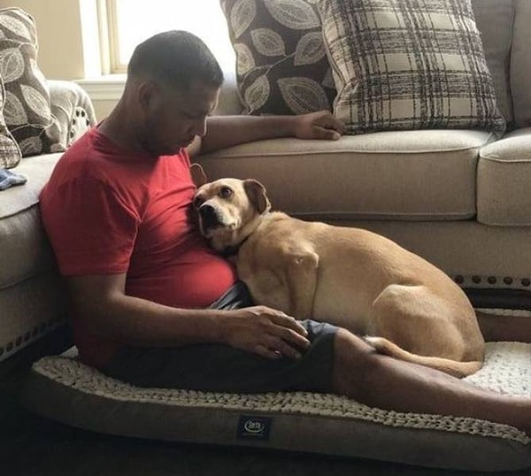 13. "Любовь спасенного животного".