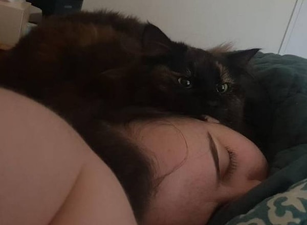18. "Моя девушка заболела и пошла отдыхать, а наша кошка решила убедиться, что с ней все в порядке".