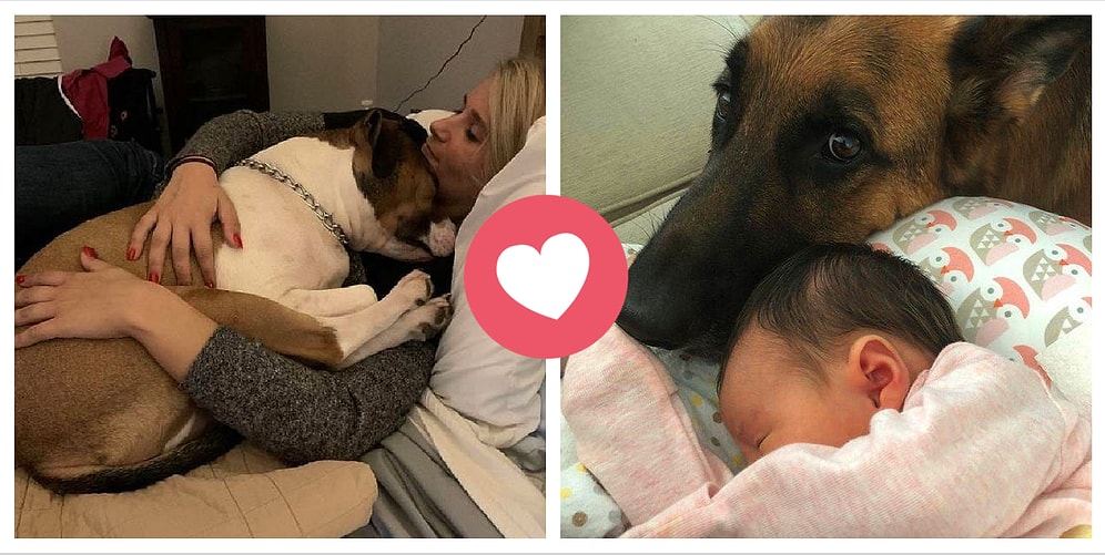 Любовь - это именно то, что нам нужно в 2020 году (20 фото)