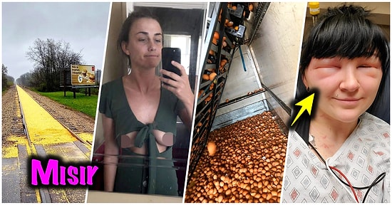 2020’de Yaşadıkları Olaylarla Çöle Düşse Kutup Ayılarıyla Karşılaşabilecek Kadar Şanssızlıkta Sınırları Zorlamış 27 Kişi