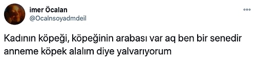 Köpeği Noynoy'a Pahalı Bir Akülü Araba Alan Seren Serengil'e Gelen Birbirinden Komik Tepkiler