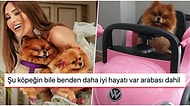 Köpeği Noynoy'a Pahalı Bir Akülü Araba Alan Seren Serengil'e Gelen Birbirinden Komik Tepkiler