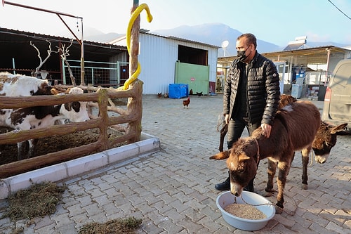 İşkenceye Maruz Kalan Eşek Barınağa Alındı, İlk Ziyaretçisi Haluk Levent Oldu: 'Hayvan Hakları Yasası Bir An Önce Çıkmalı'