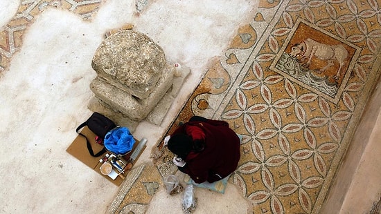 'Karadeniz'in Zeugması'ndaki Mezardan 1800 Yıllık 'Ölü Hediyeleri' Çıktı