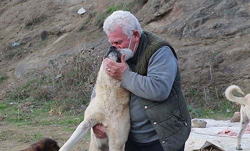 Kendini Sokak Hayvanlarına Adadı, 71 Yaşında Veterinerlik Okudu