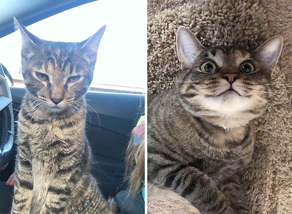 14. Нашел эту красотку в ноябре 2019