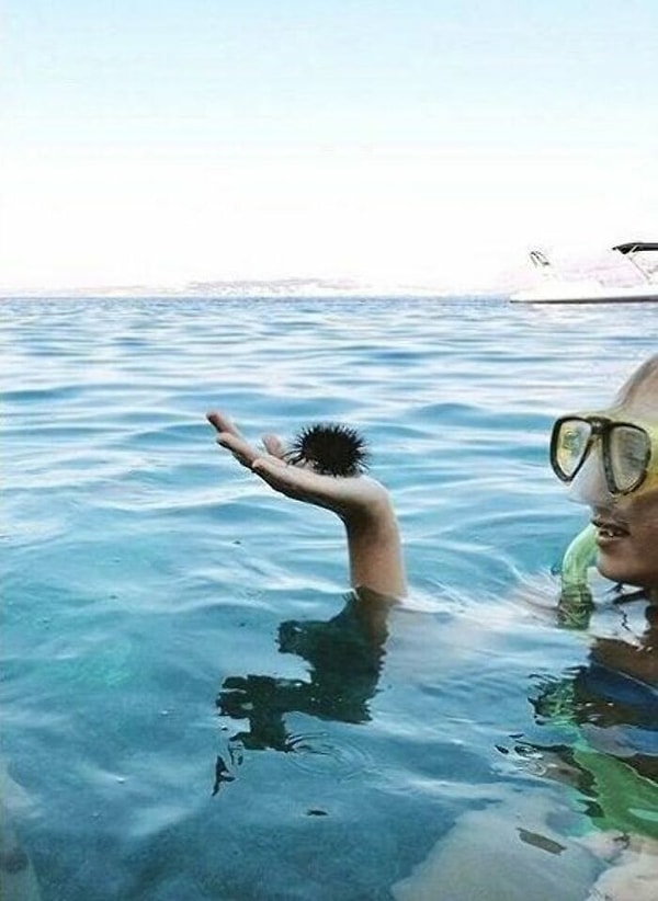 6. "Человек с всклокоченной прической хочет прыгнуть в воду"