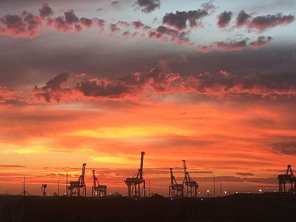 9. "Жирафы наслаждаются закатом в Серенгети"