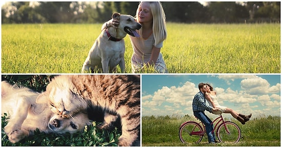 Ünal Güner Yazio: Sevgi Nedir?