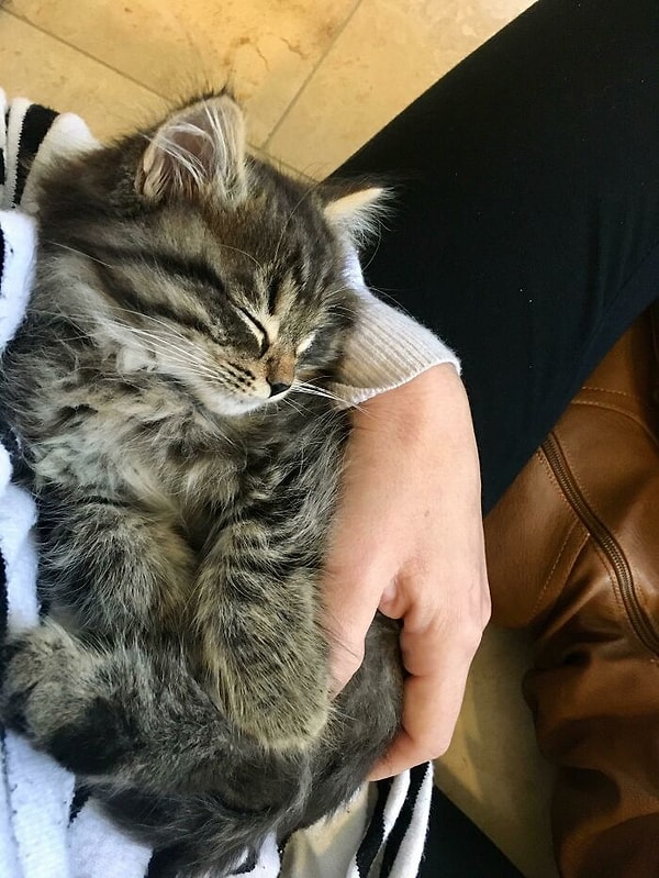 2. "Один из моих самых классных рождественских подарков".