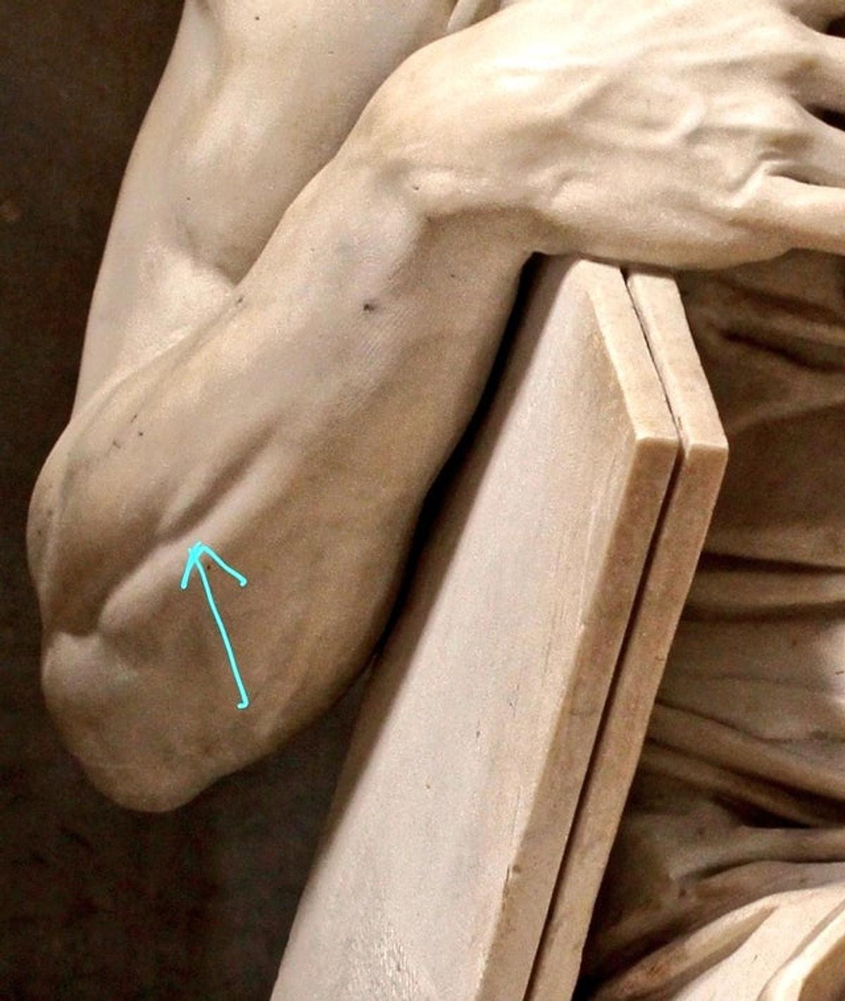 Human h. Руки Давида Микеланджело. Статуя Моисея Микеланджело.