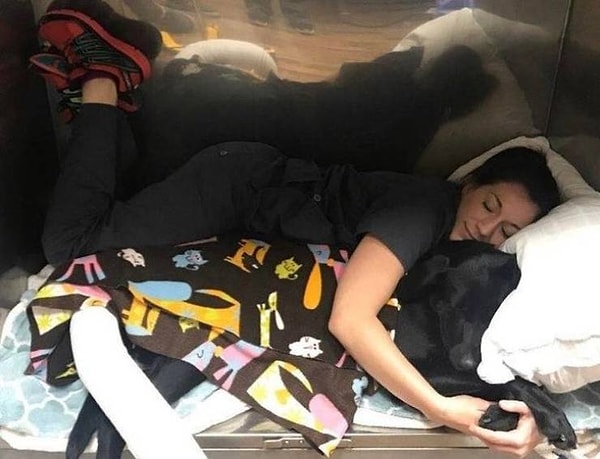 3. "В нашей ветеринарной клинике мы очень серьезно относимся к послеоперационному уходу, а, как известно, объятия - это лучшее лекарство!"