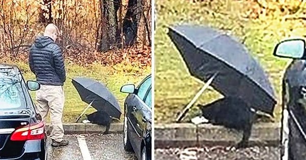 12. "Этот человек с большим сердцем - мой сосед. На улице шел дождь, и он предоставил свой зонтик уличному коту, чтобы тот смог спокойно поесть, не промокнув".