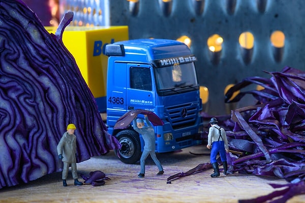 9. ООО Измельчение Капусты