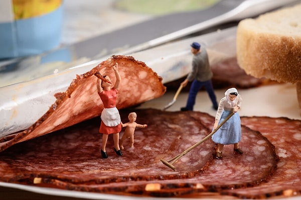 16. Утро на завтраковой ферме