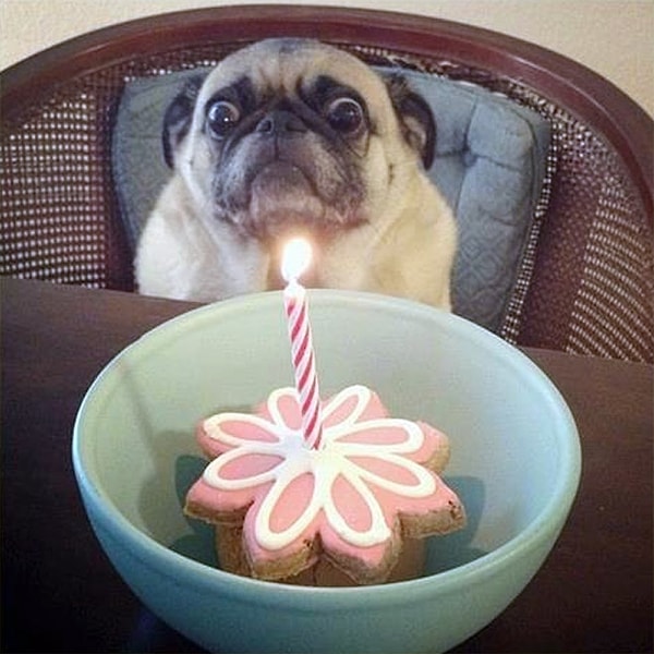 4. Это все для меня?