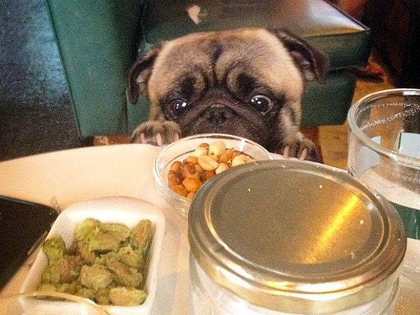 7. Оррррешки!