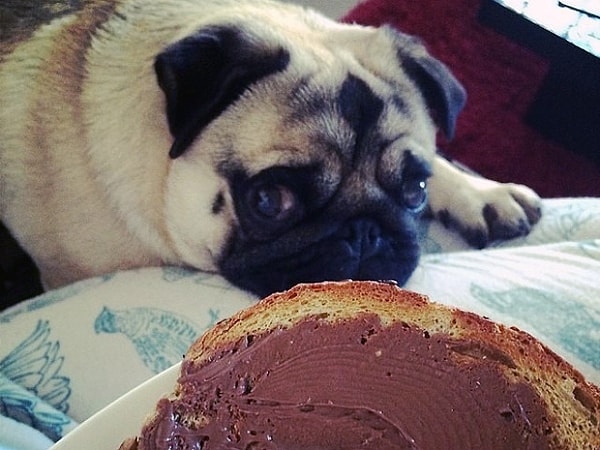 14. Эх, вот бы сейчас булочки с шоколадным кремом...