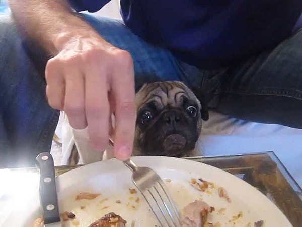 18. Оставьте мне кусочек!