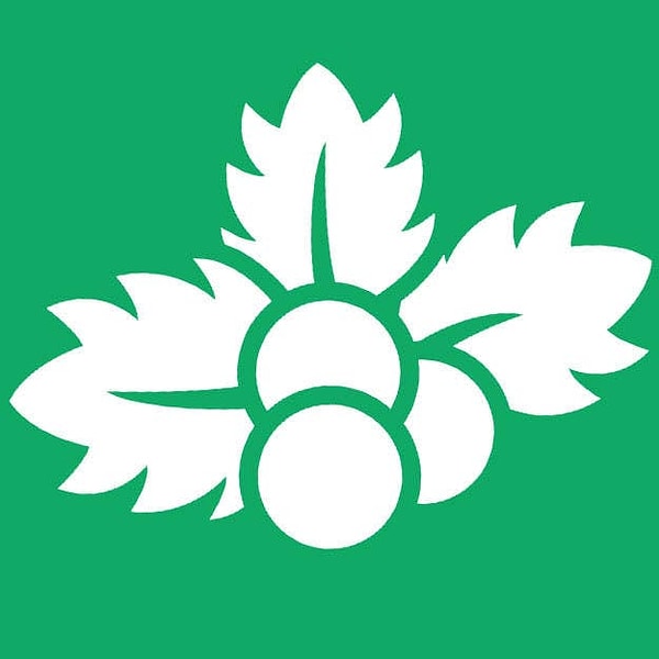 Подглядеть правильный ответ: