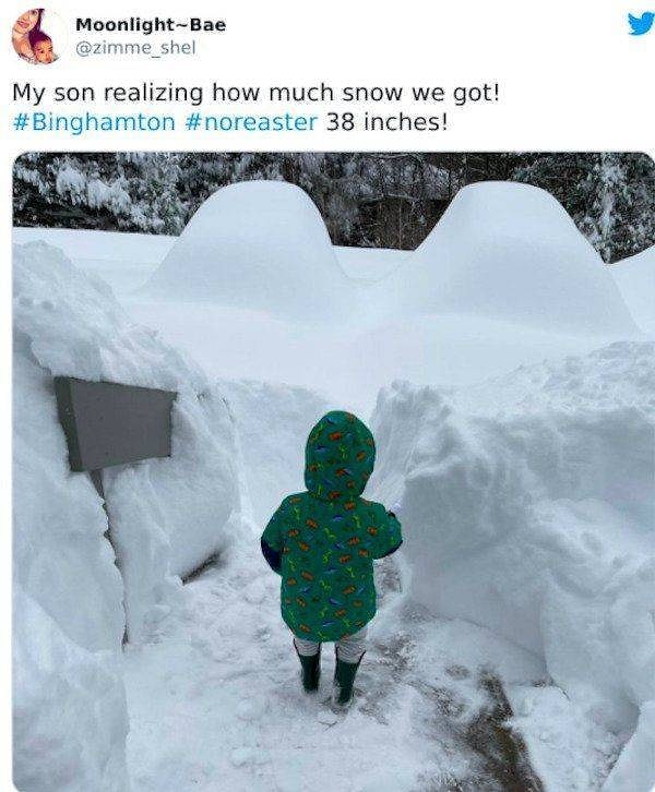 10. "Мой сын не может поверить, сколько за ночь выпало снега!"
