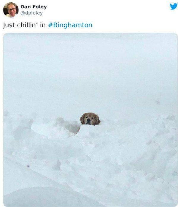 12. "Просто тусуемся в Биргемтоне".