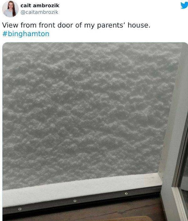 17. "Вид с крыльца дома моих родителей".