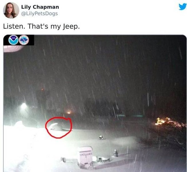 23. "Посмотрите-ка туда. Это мой джип!"