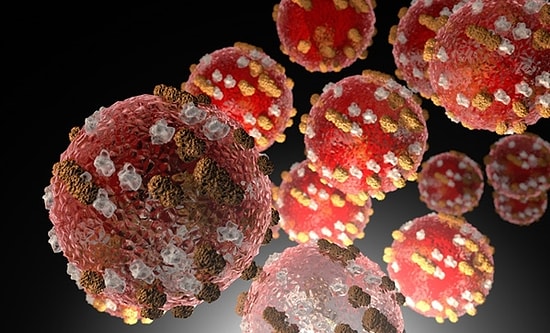 B117 Virüsü Nedir ? B.1.1.7 Virüsünün Özellikleri Nelerdir ?  Kovid-19 Virüsünün Mutasyona Uğramış Hali Olan B117 Virüsünün Belirtileri Neler ?