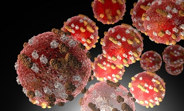 Koronavirüsün yeni türünün B117 virüsünün üç farklı ülkede daha görüldüğü belirtildi.