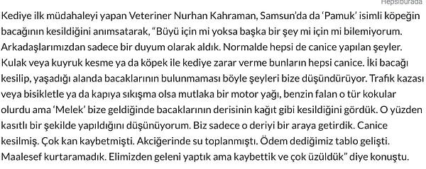 Samsun'da Pamuk isimli bir kedinin patilerinin kesilmesi dehşetle karşılanmıştı. Konu hakkında veteriner Nurhan Kahraman büyü hakkında duyum aldıklarını belirtmişti.